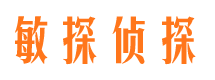 云城市调查公司